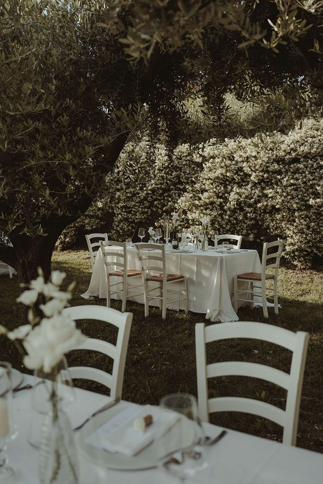Cena bajo los olivos con luces colgantes en Relais Ca' Toresele